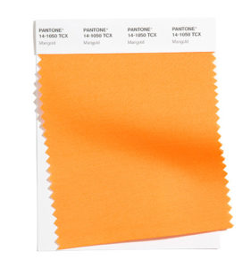 PANTONE 14-1050 Marigold 金盞花橘：舒適的黃橘色調帶來溫暖的視覺。